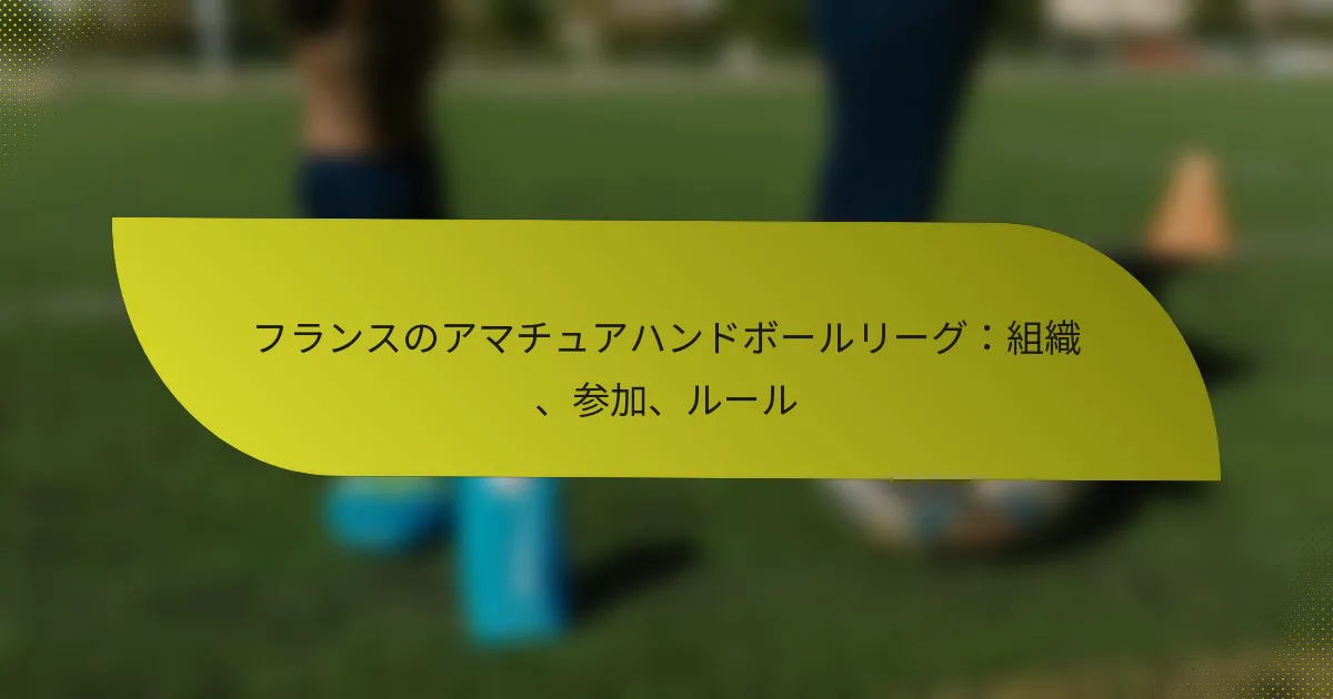 フランスのアマチュアハンドボールリーグ：組織、参加、ルール