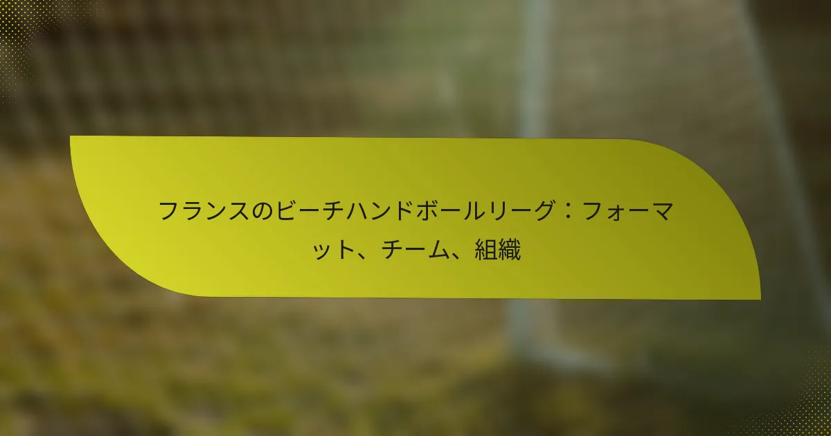 フランスのビーチハンドボールリーグ：フォーマット、チーム、組織