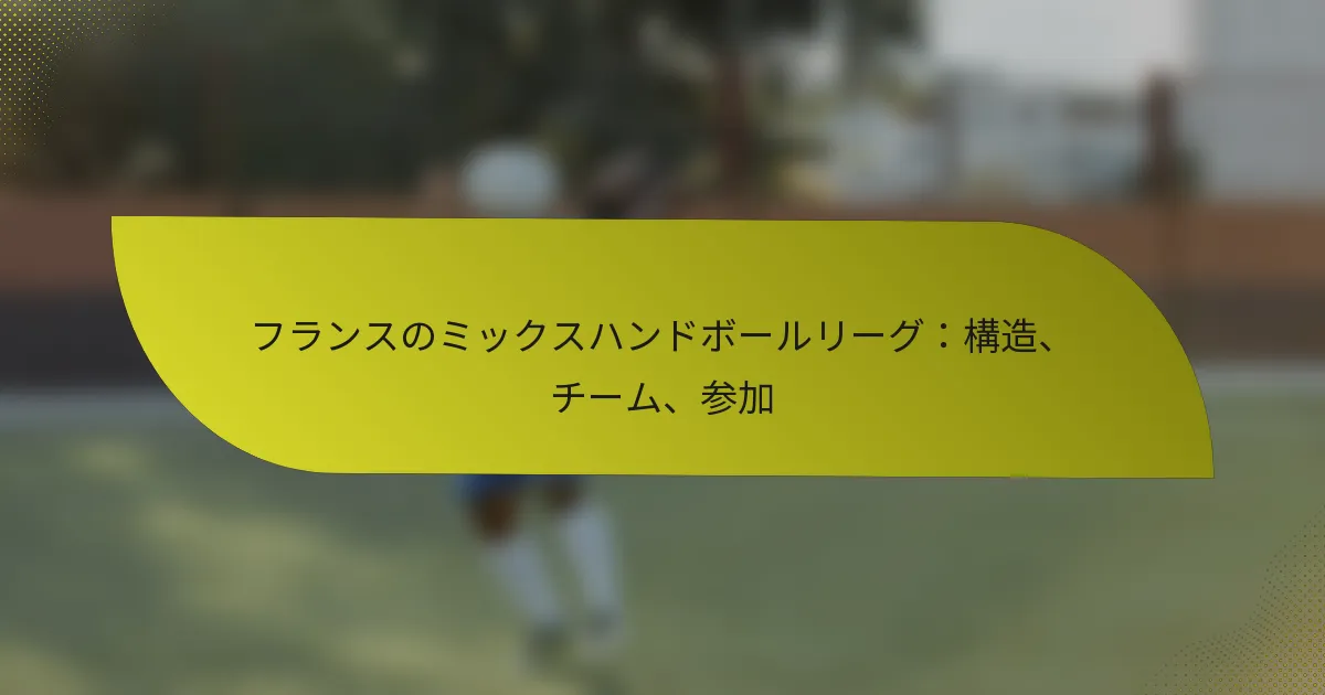 フランスのミックスハンドボールリーグ：構造、チーム、参加