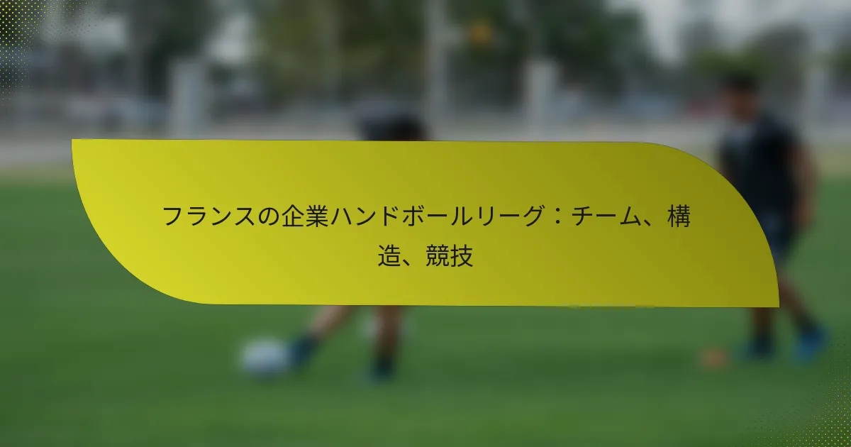 フランスの企業ハンドボールリーグ：チーム、構造、競技