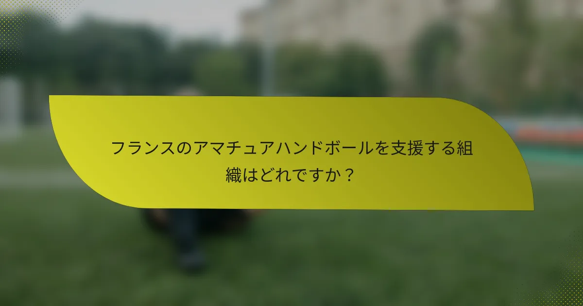 フランスのアマチュアハンドボールを支援する組織はどれですか?