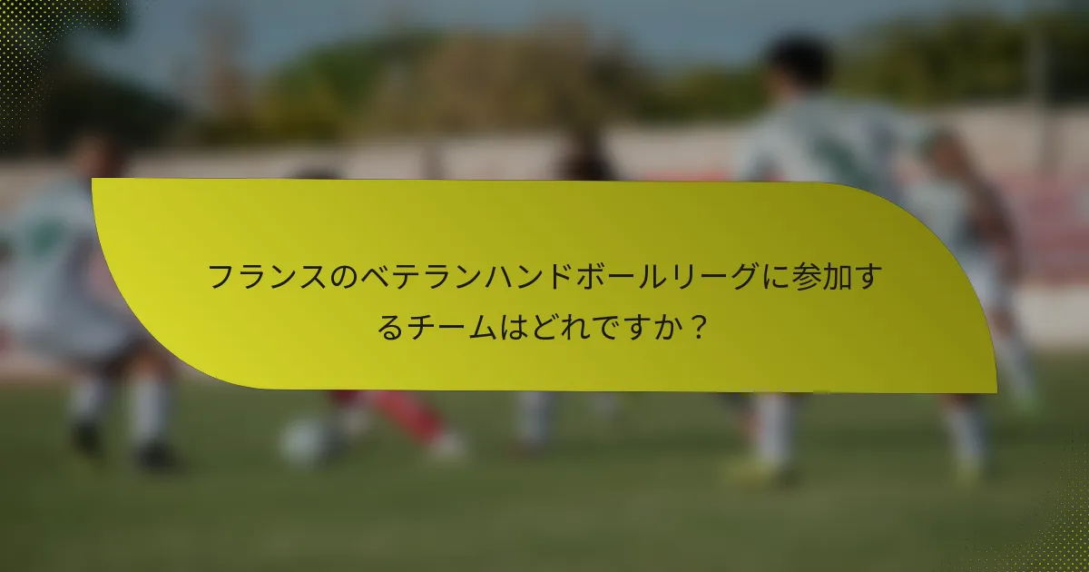 フランスのベテランハンドボールリーグに参加するチームはどれですか？