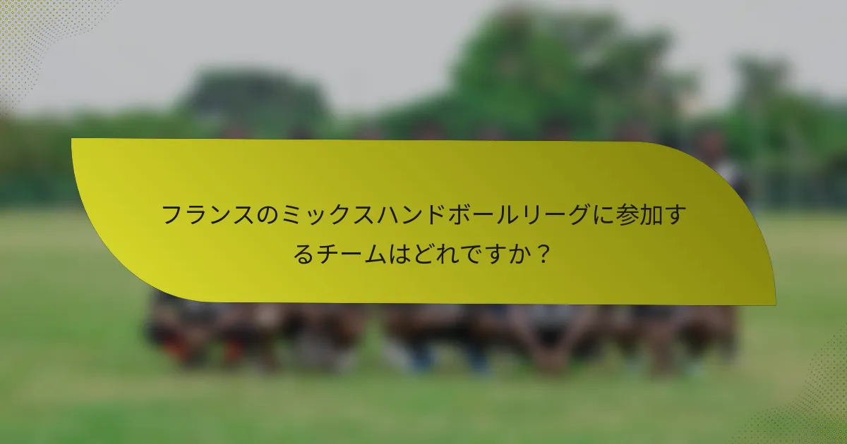フランスのミックスハンドボールリーグに参加するチームはどれですか？