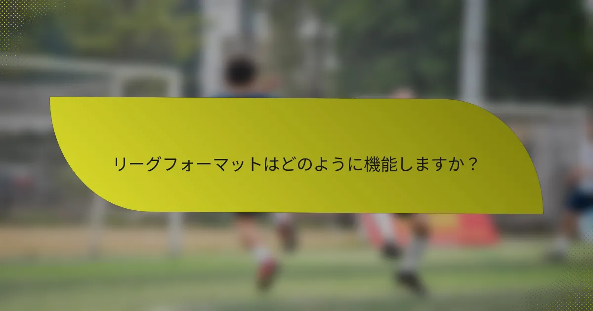リーグフォーマットはどのように機能しますか？