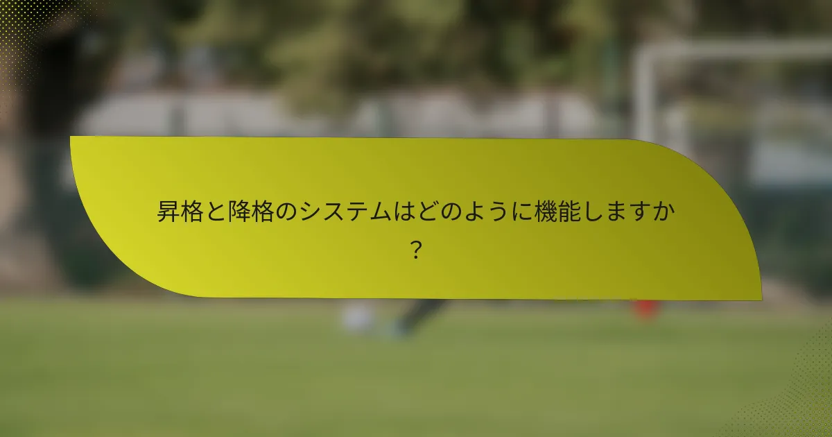 昇格と降格のシステムはどのように機能しますか?